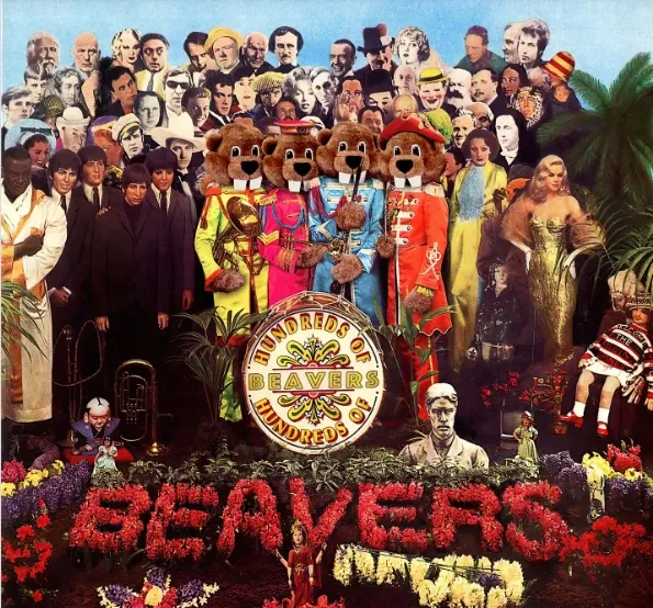 BEAVERS-BEATLE03.webp
