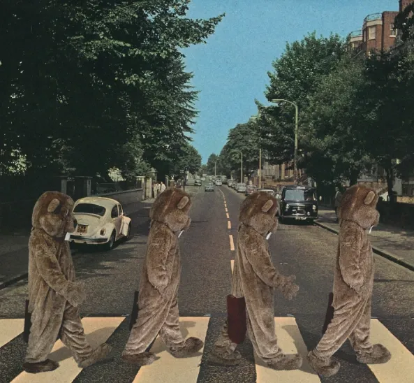 BEAVERS-BEATLE05.webp