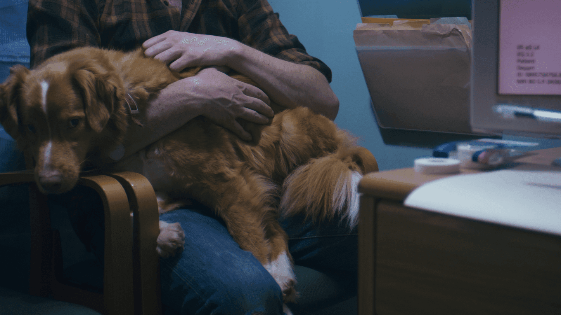 GOOD BOY 1-min.png